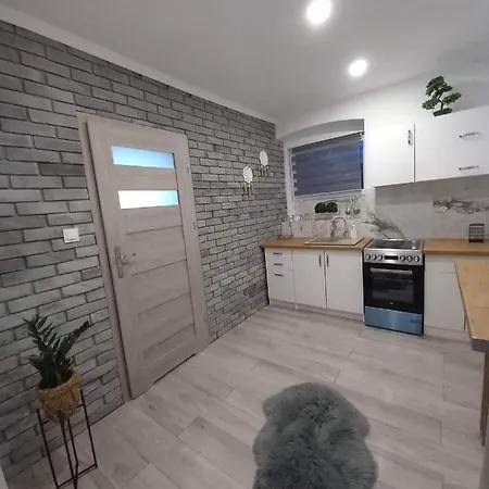 Apartament 3 Osobowy Z Pelnym Wyposazeniem Rybnik (Silesia)