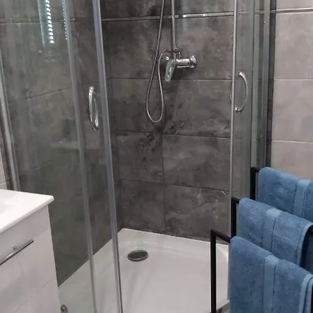 Apartament 3 Osobowy Z Pelnym Wyposazeniem Apartament Rybnik (Silesia)